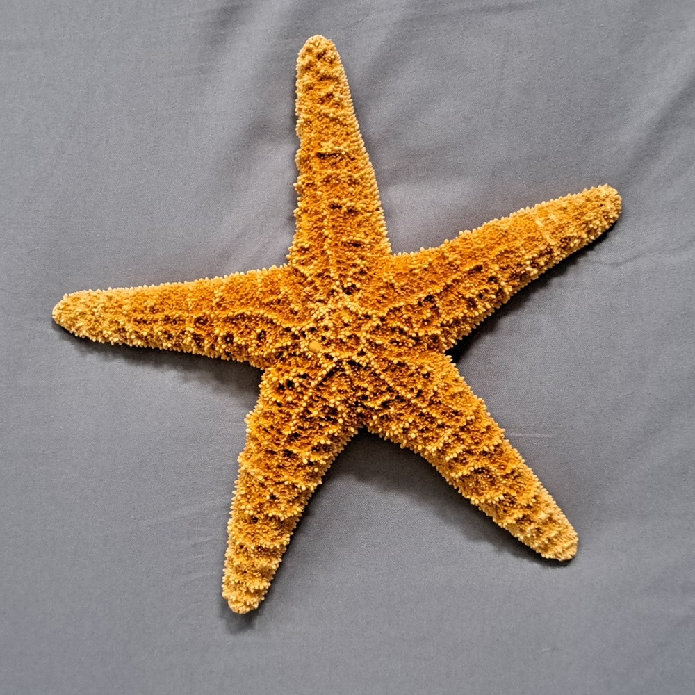 Starfish